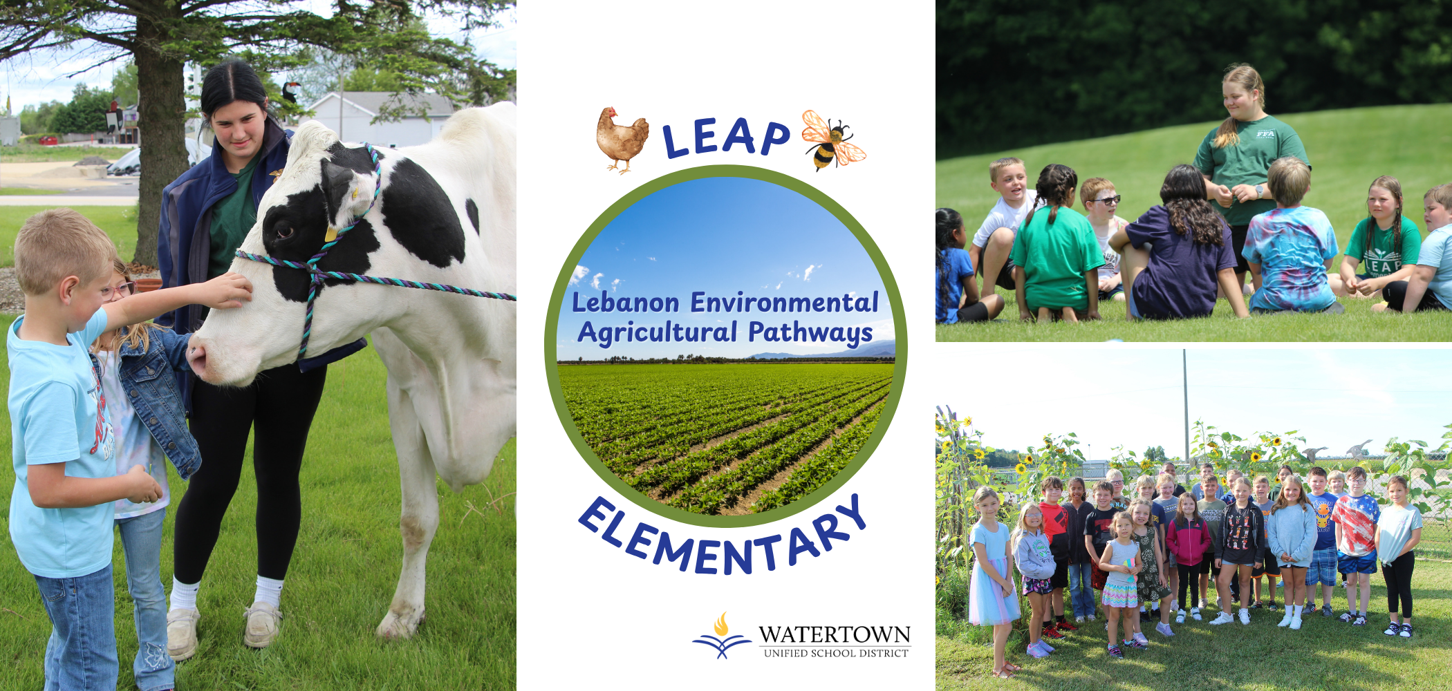 LEAP Cover Photo