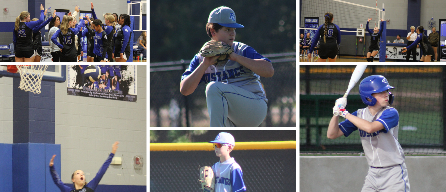 Volleyball and Baseball