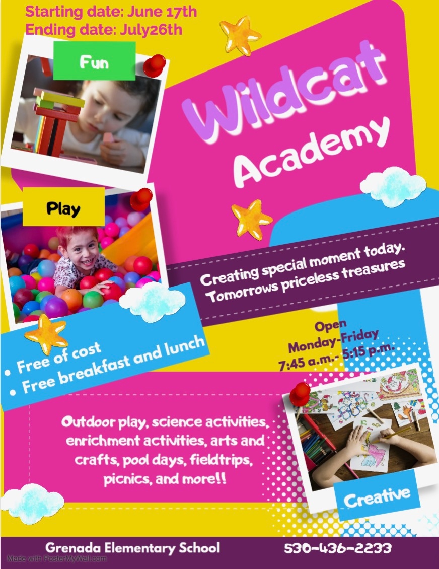 WIldcat Academy Summer School l Flyer