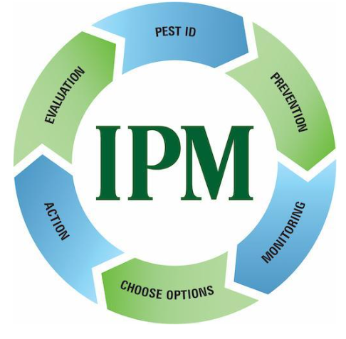 IPM Graphic