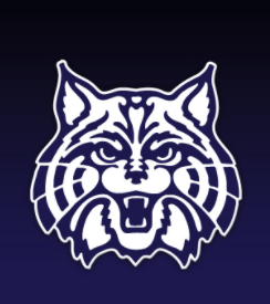 Wildcat logo