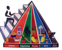 Food groups
