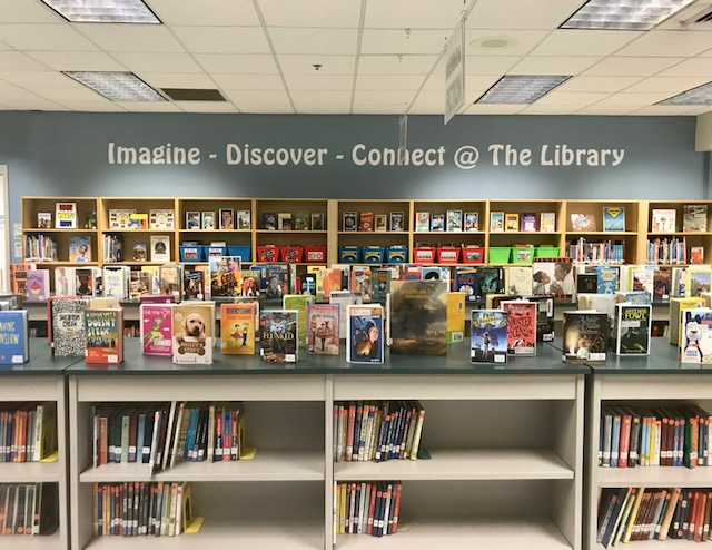 Library Interior of bookshelf with books on display