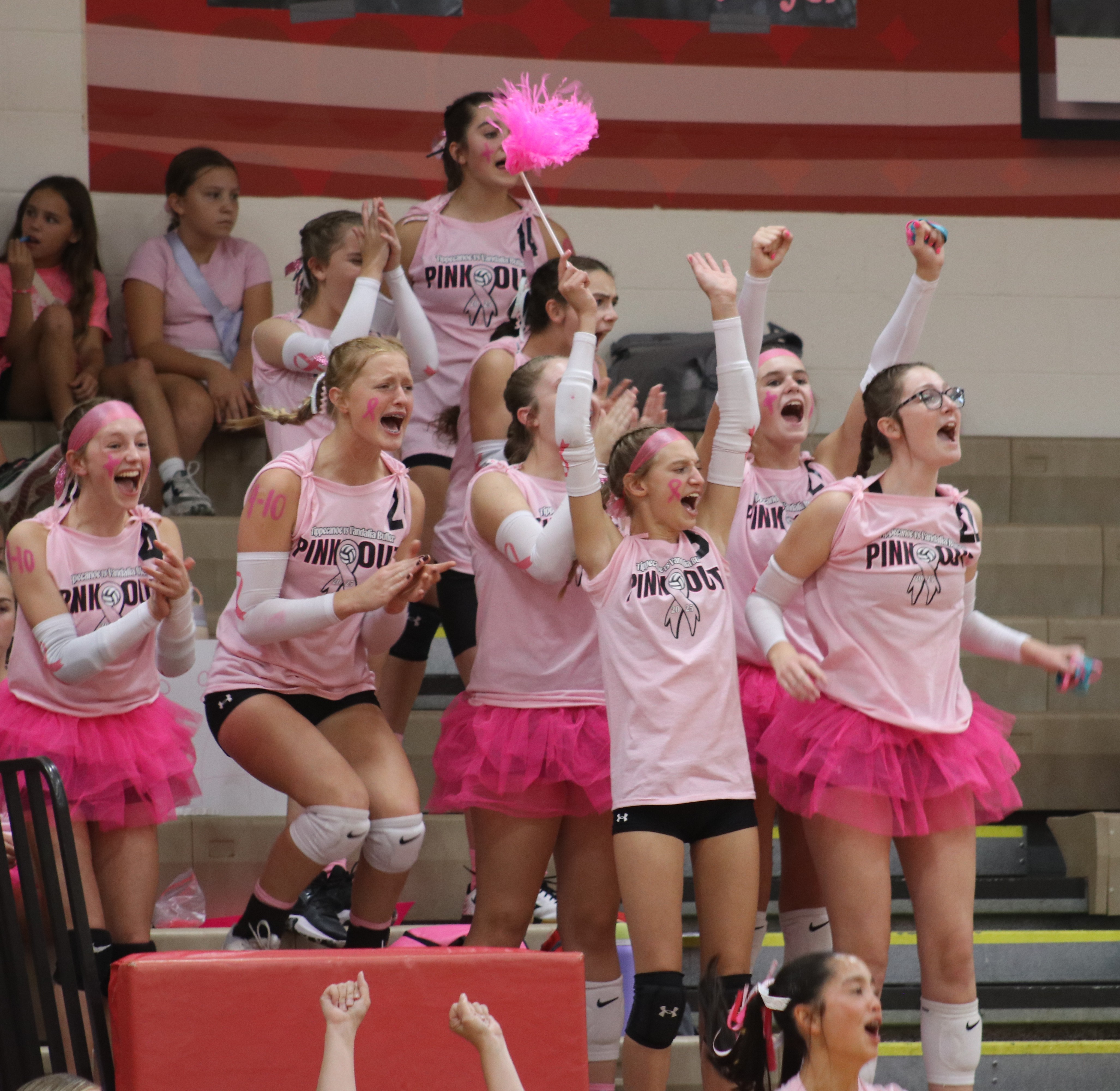 TMS volleyball team at their Pinkout game.