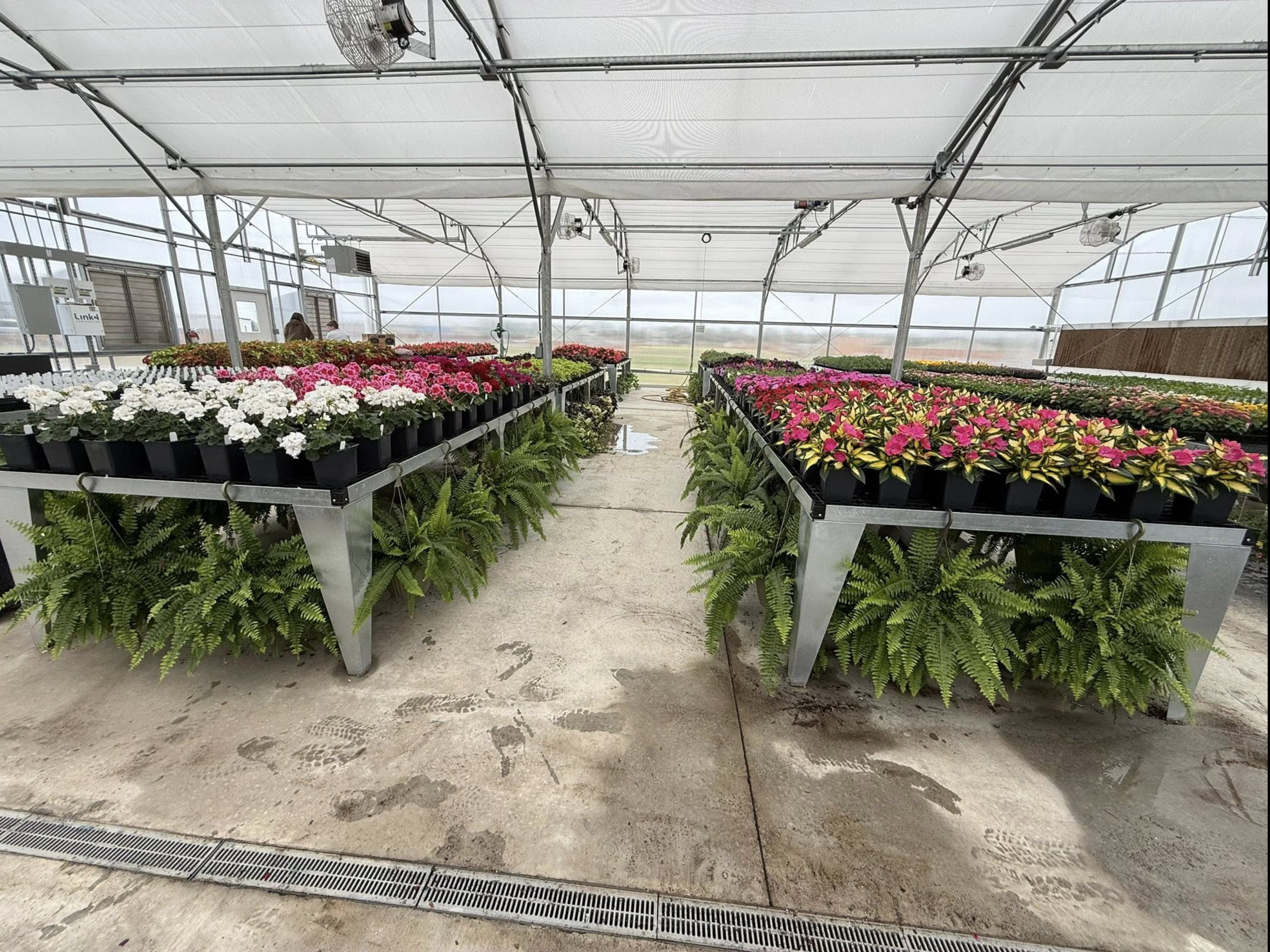 greenhouse