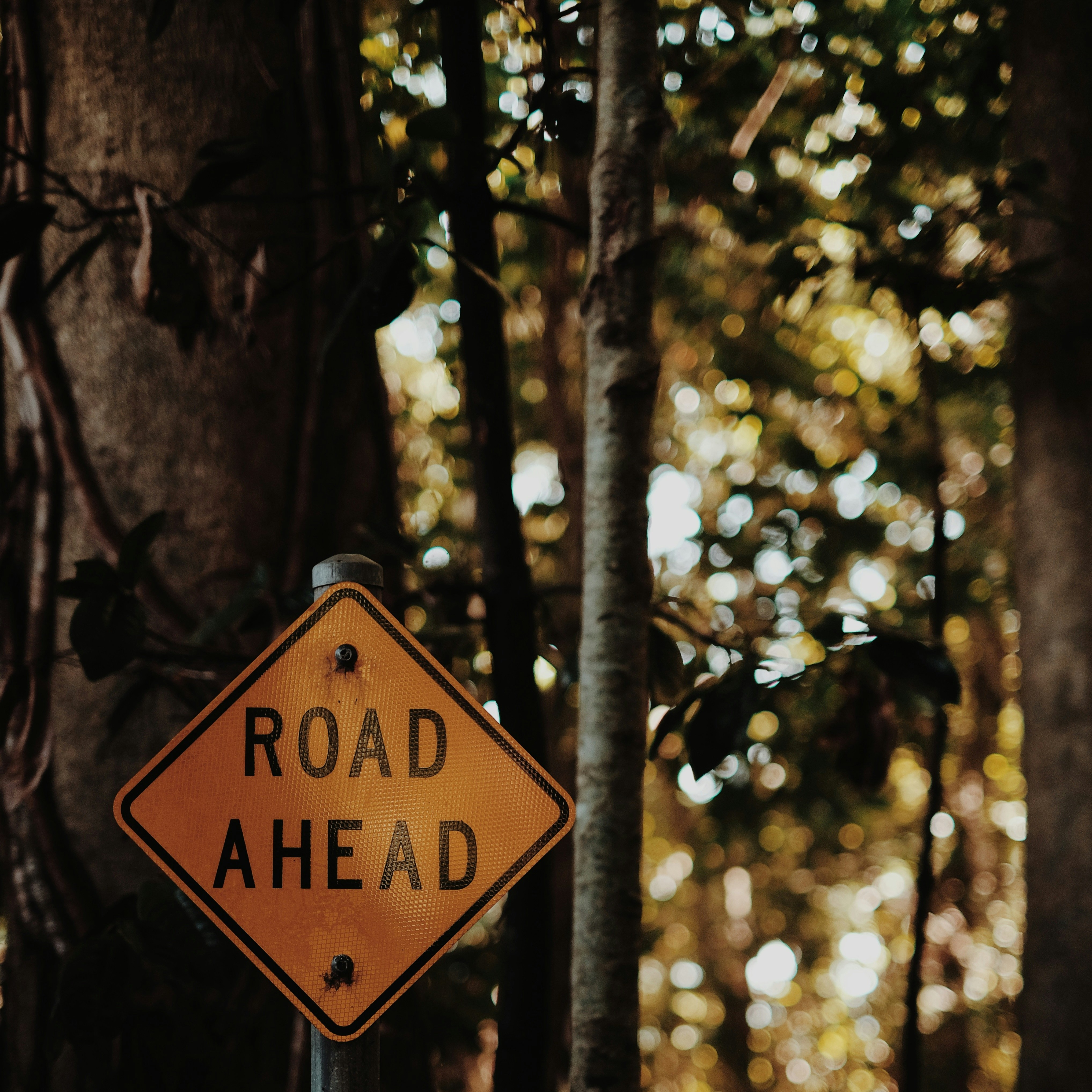 road ahead
