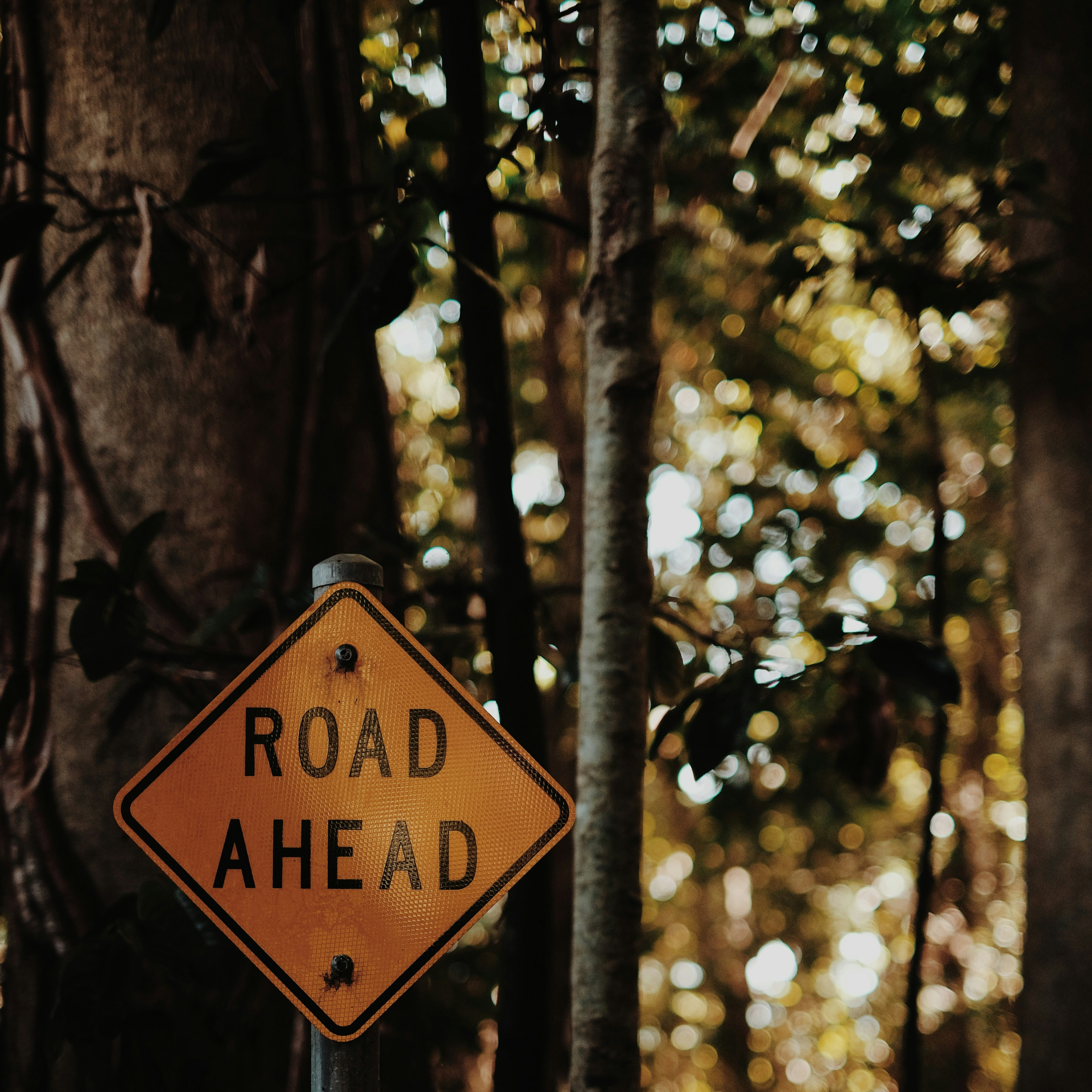 road ahead