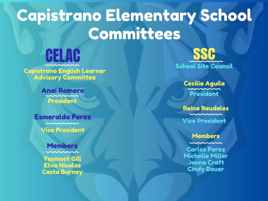 Cap School Committees