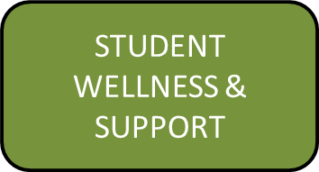student wellness and support