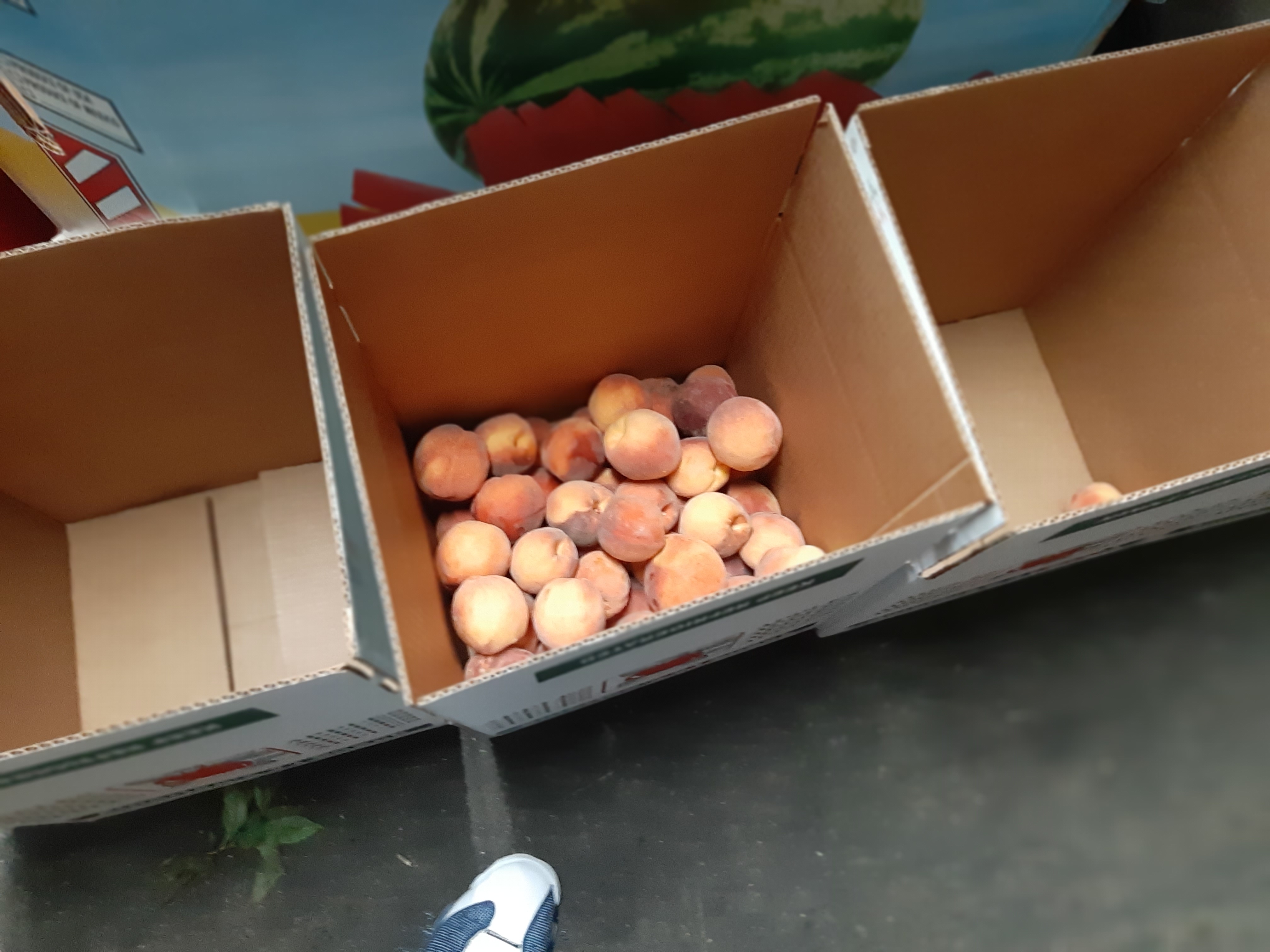 Students volunteering at the Cornwall food bank