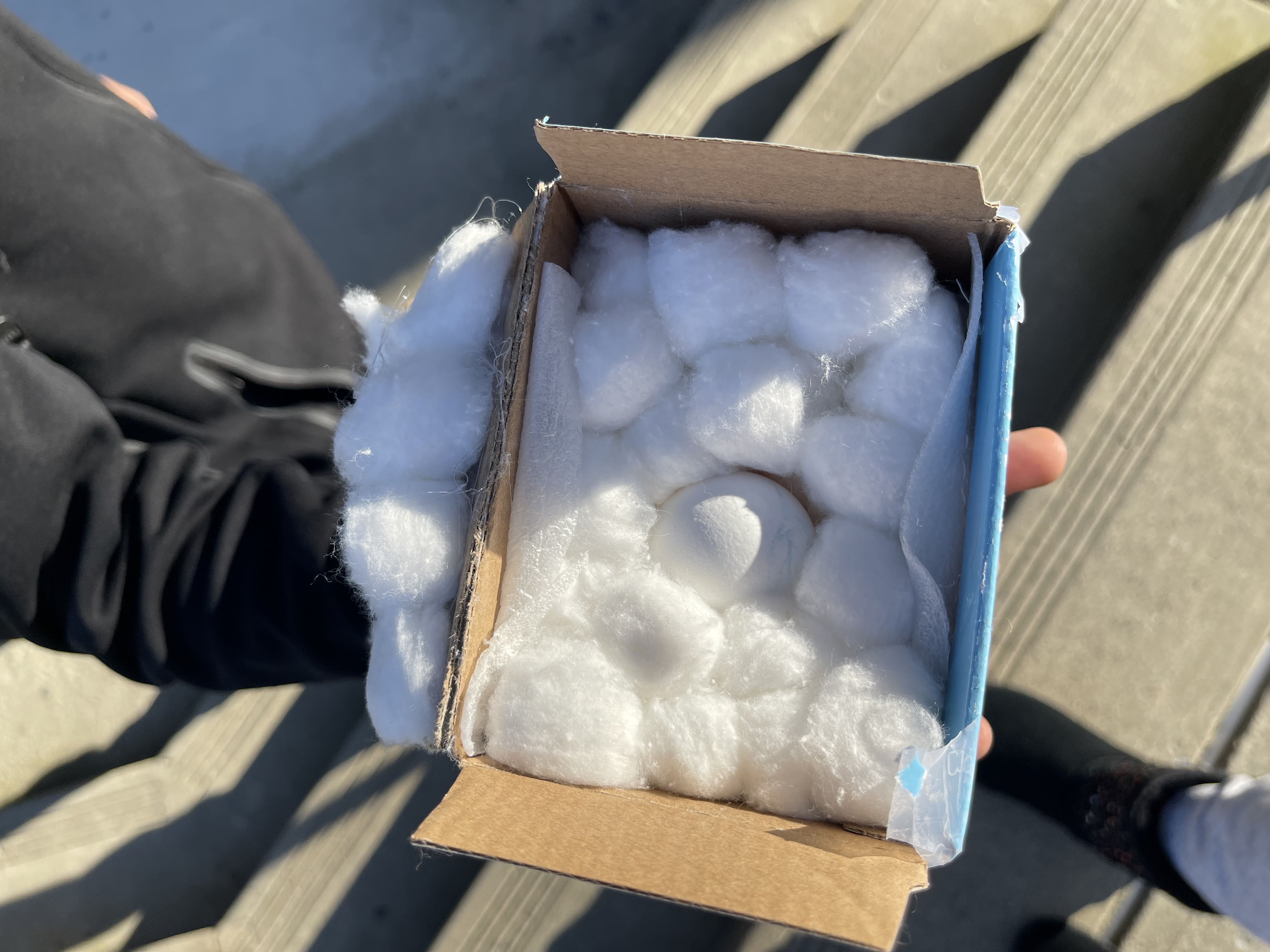 Egg Drop Activity