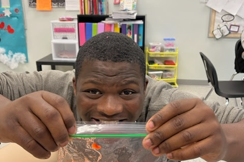 student holding plastic bag with strawberries