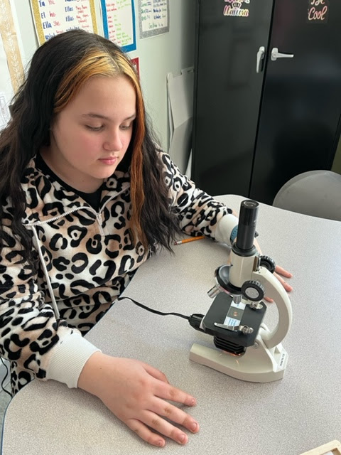 student using microscope