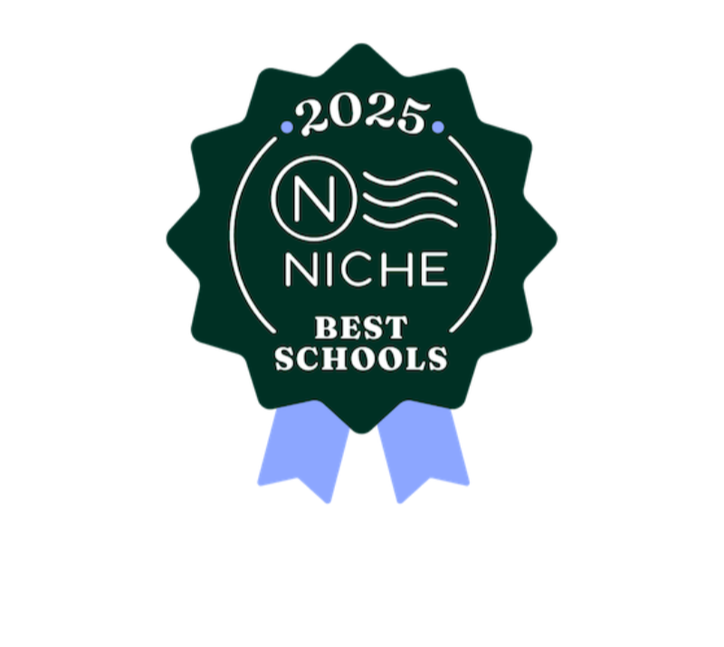 Niche.com logo 2024