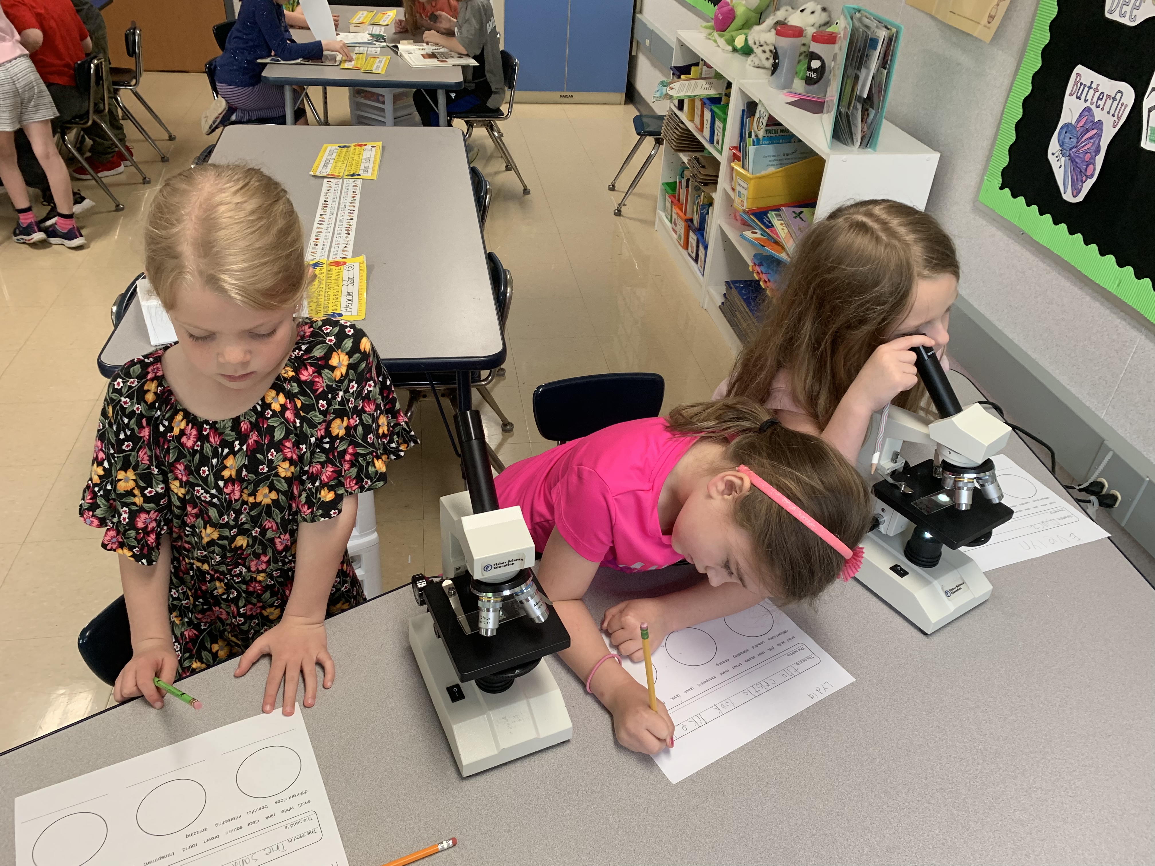 Elementary students using microscopes