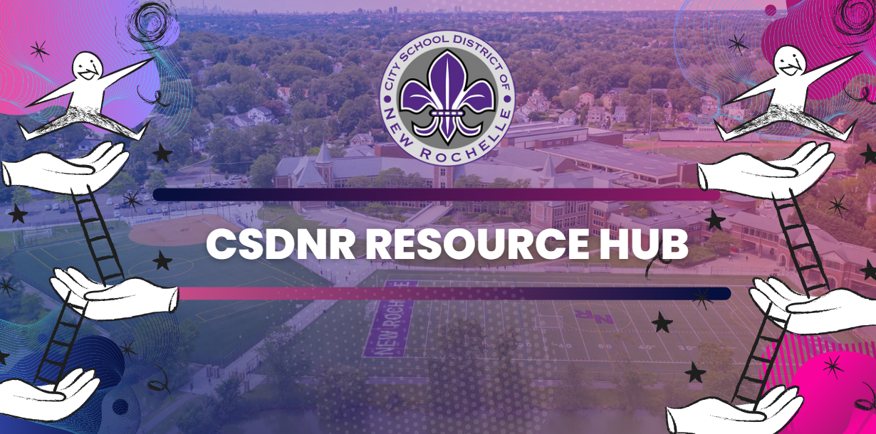 csdnr resource