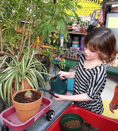 Student watering plant