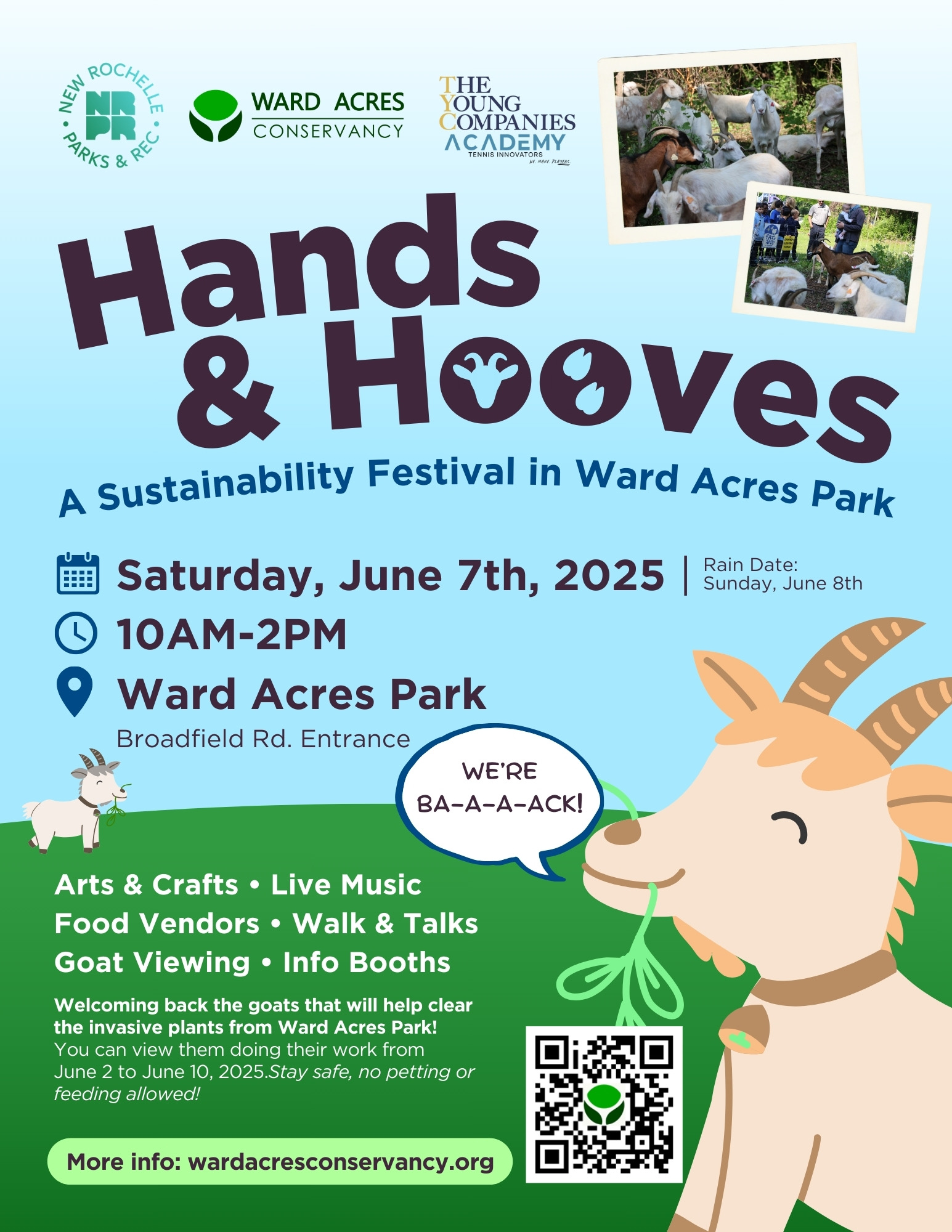 An event poster for "Hands & Hooves: A Sustainability Festival in Ward Acres Park." The poster features the logos for New Rochelle Parks & Rec, Ward Acres Conservancy, and The Young Companies Academy at the top. The main text announces the event and details: Saturday, June 7th, 2025, from 10 AM to 2 PM, with a rain date of Sunday, June 8th. The location is Ward Acres Park, Broadfield Rd. Entrance.On the bottom left, a cartoon goat with a party hat looks towards the festival information. On the bottom right, a larger cartoon goat, with a speech bubble saying "WE'RE BA-A-A-ACK!", eats a plant. A QR code is placed near its mouth.The festival activities listed are: Arts & Crafts, Live Music, Food Vendors, Walk & Talks, Goat Viewing, and Info Booths. A note below states: "Welcoming back the goats that will help clear the invasive plants from Ward Acres Park! You can view them doing their work from June 2 to June 10, 2025. Stay safe, no petting or feeding allowed!" More information can be found at wardacresconservancy.org.Two small inset photos at the top right show actual goats in a grassy, fenced area.