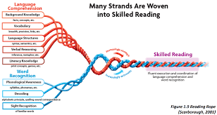 Image of Scarborough's Reading Rope showing the many strands that make up skilled reading