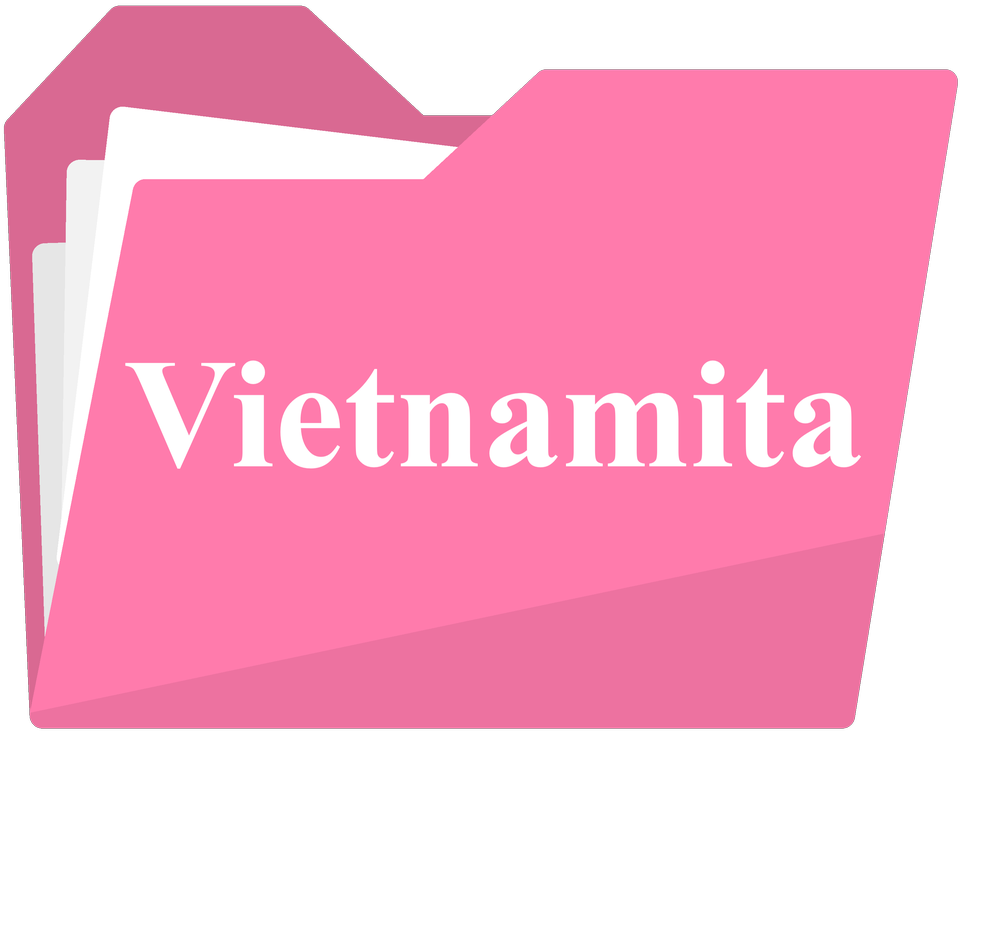 Vietnamese Folder