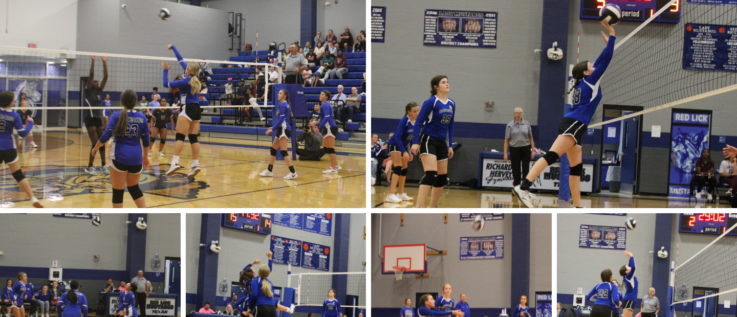 VolleyBall Action