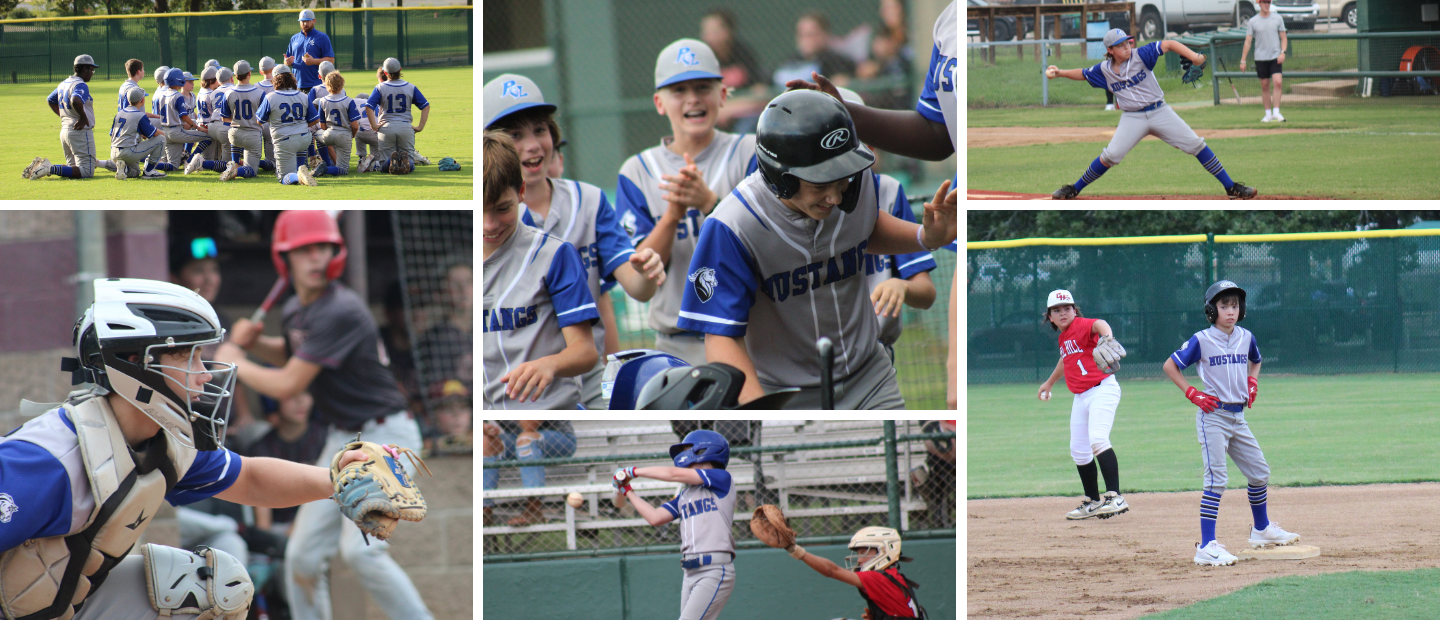 Baseball Pictures