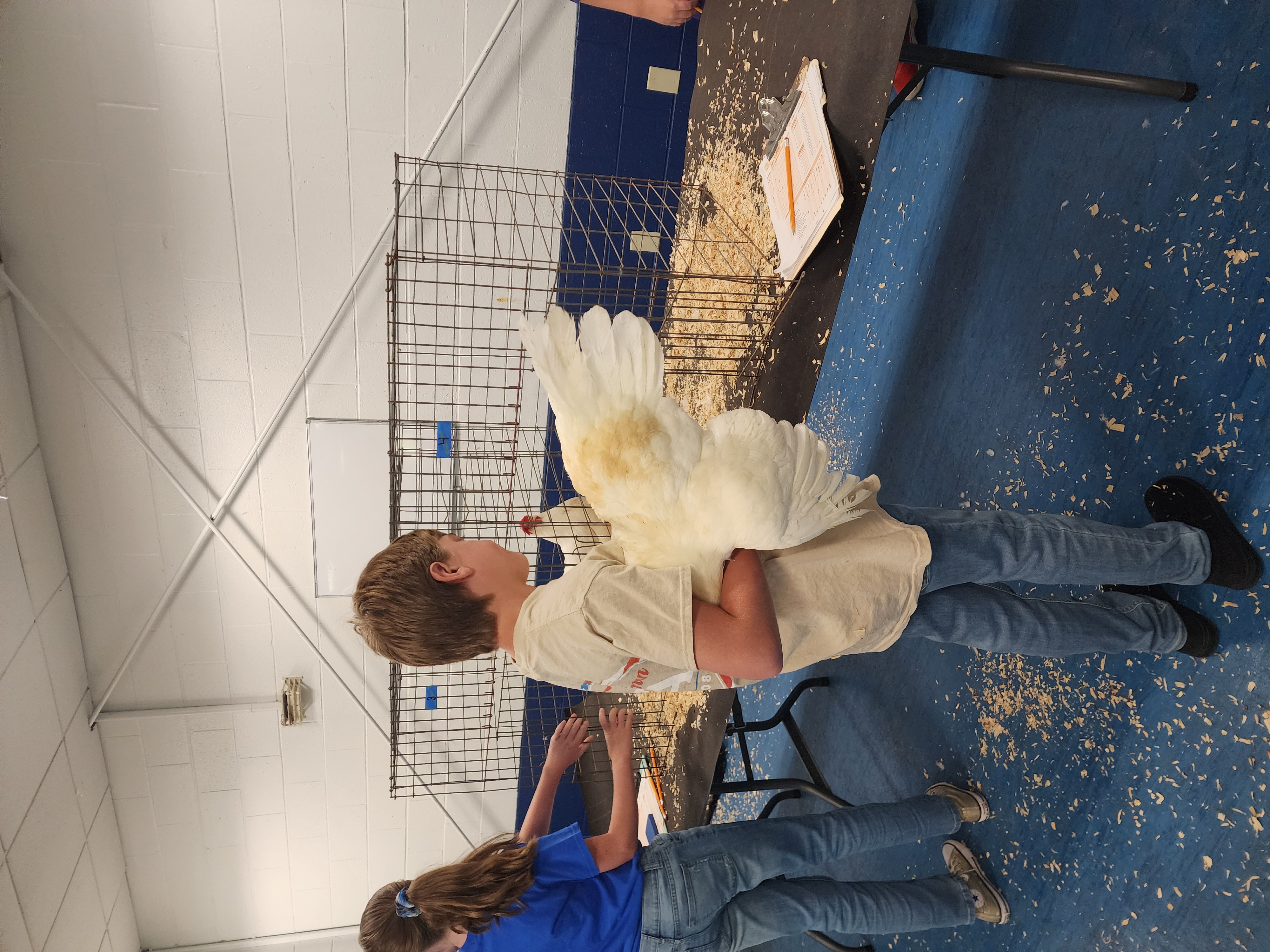 FFA 2025 Fair