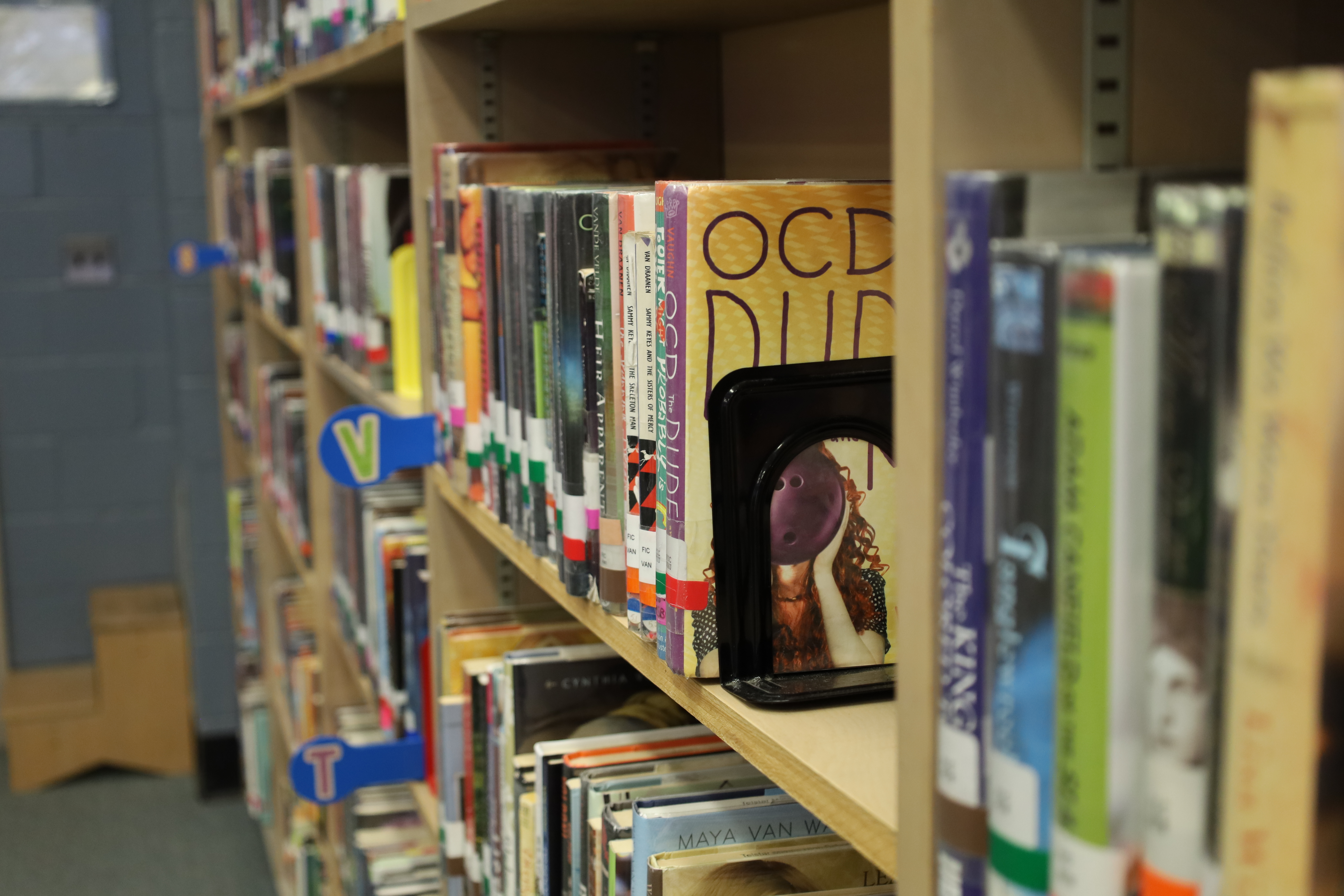 Book Shelf