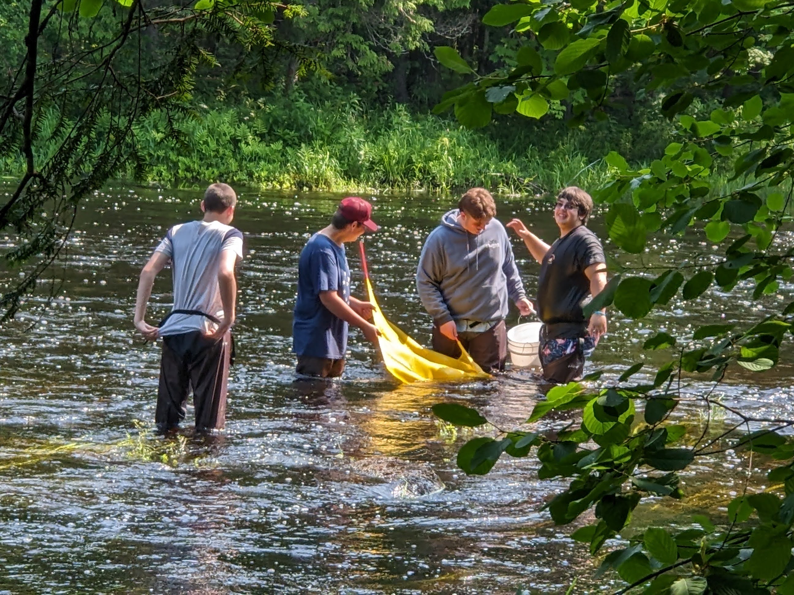 Macroinvertebrate Sampling