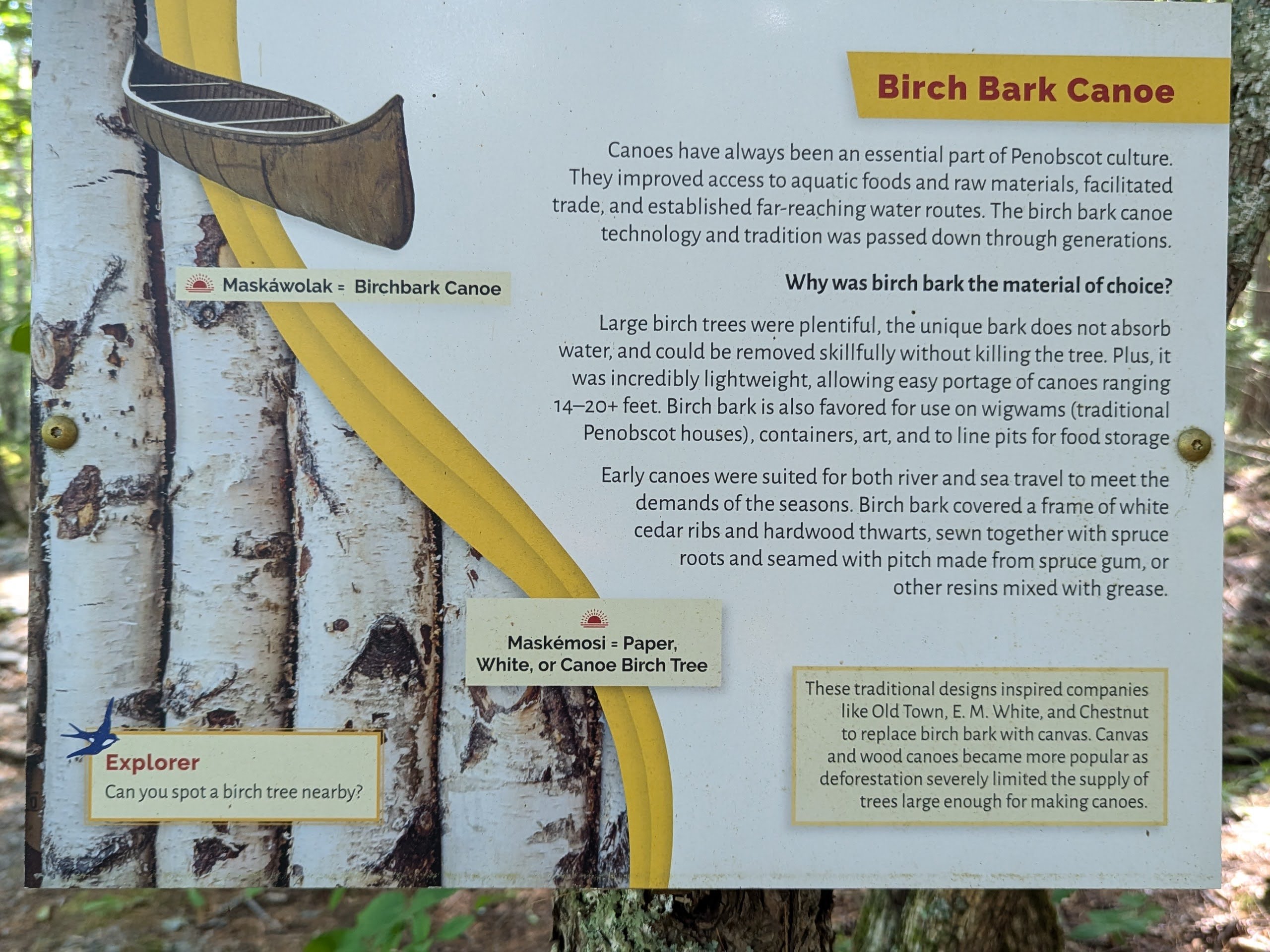 Birchbark Canoe