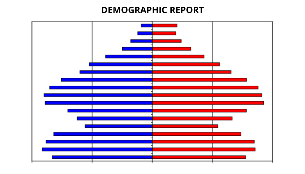 demographic report