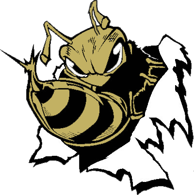Yellow Jacket