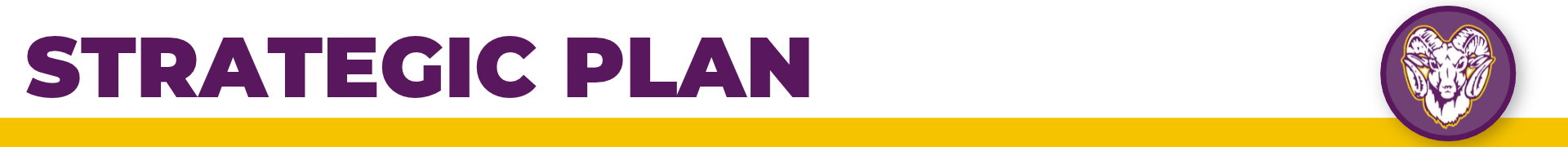 South Haven Public Schools Strategic Plan