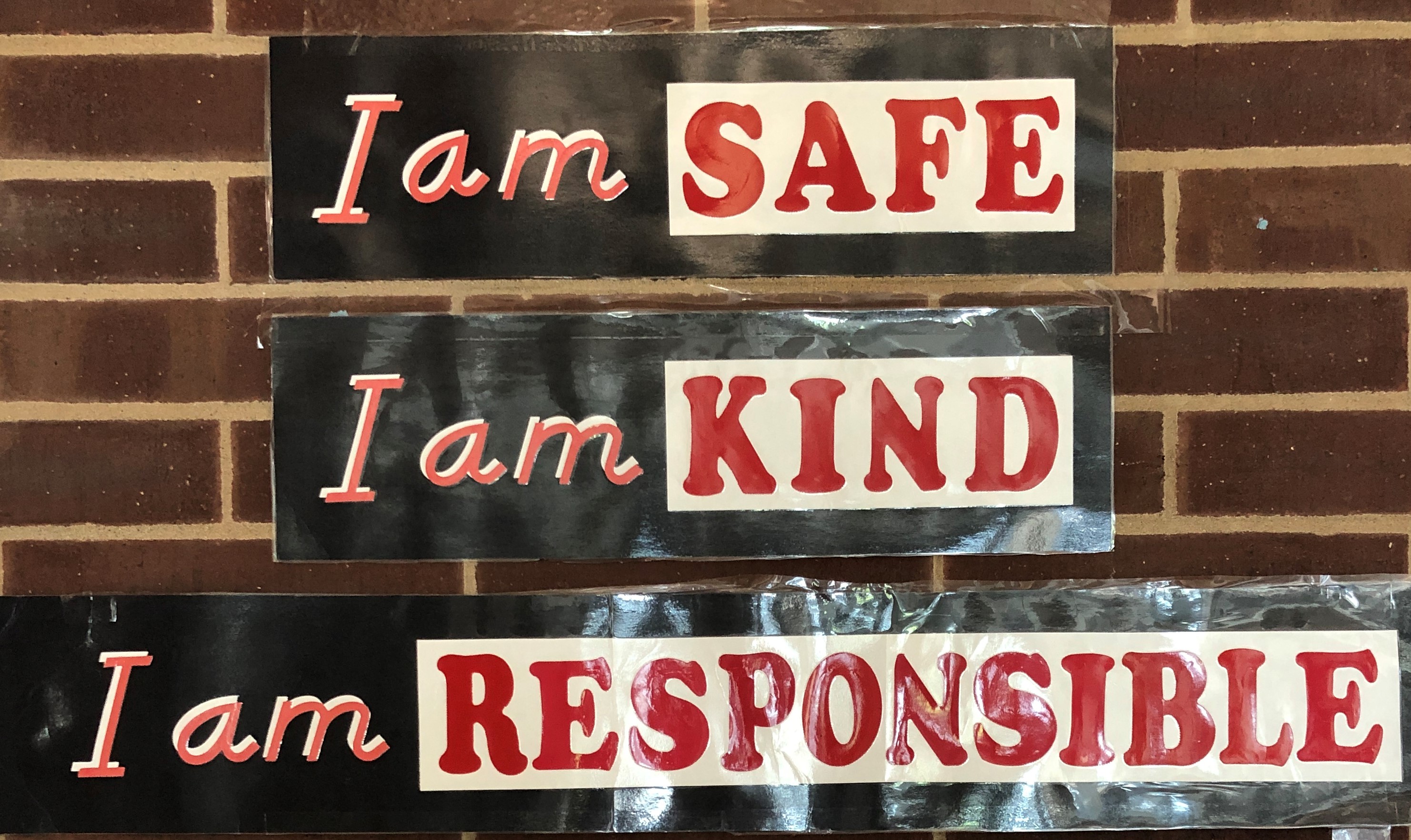 safe kind responsible picture
