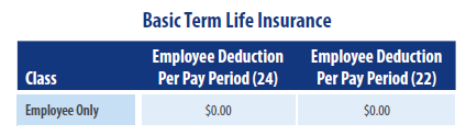 Basic Term Life Insurance