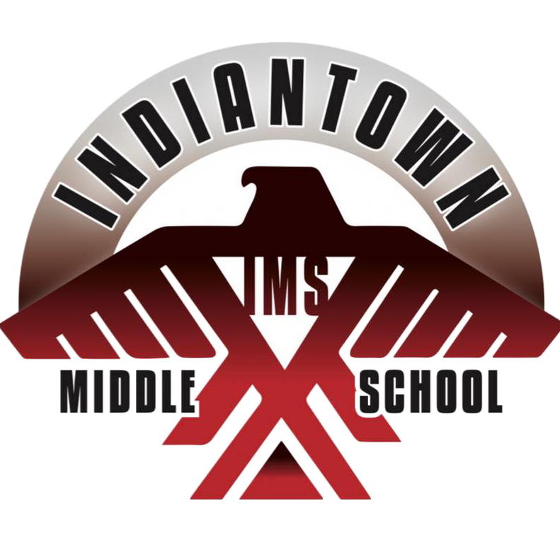 IMS Logo