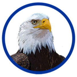 A bald eagle faces left, surrounded by a blue circle. It has white feathers on its head and neck, brown feathers on its body.