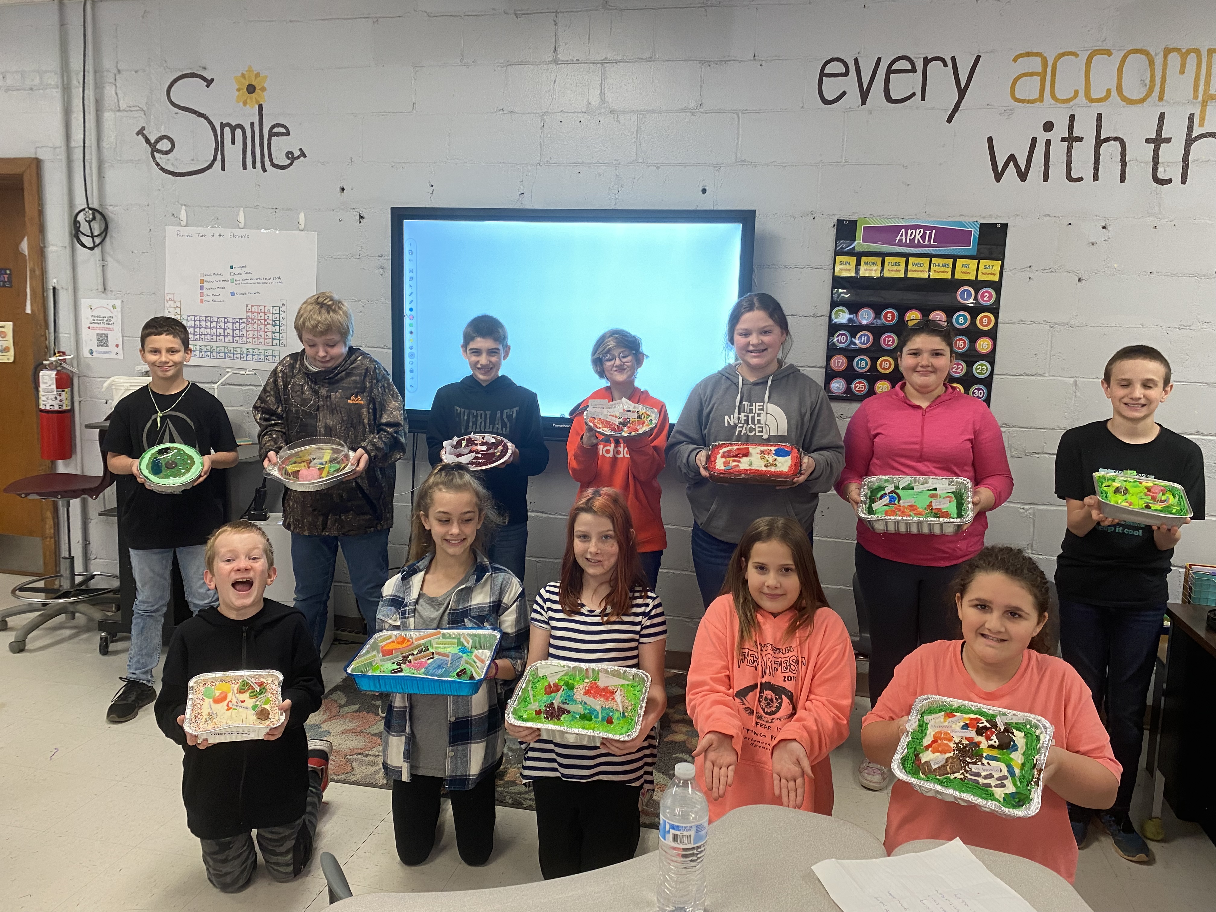 Mrs. Marshall's edible plant cell project