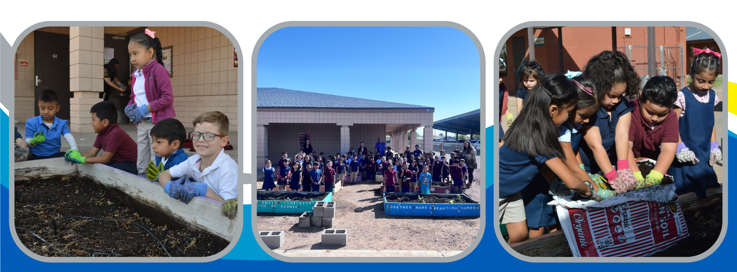 graphic with three images. the first image, a group of children wearing gloves are working together around a raised garden bed. The second image shows a large group of students and teachers posing near garden beds. The third image depicts a few students pouring soil into a garden bed while wearing gloves