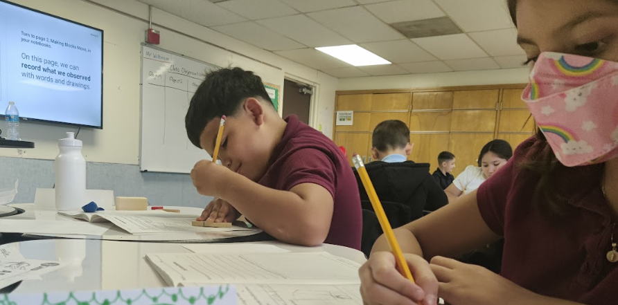 Science Engagement
