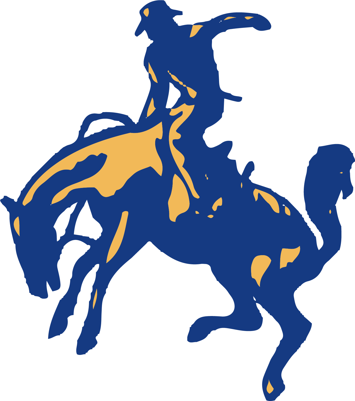Pima Unified School District