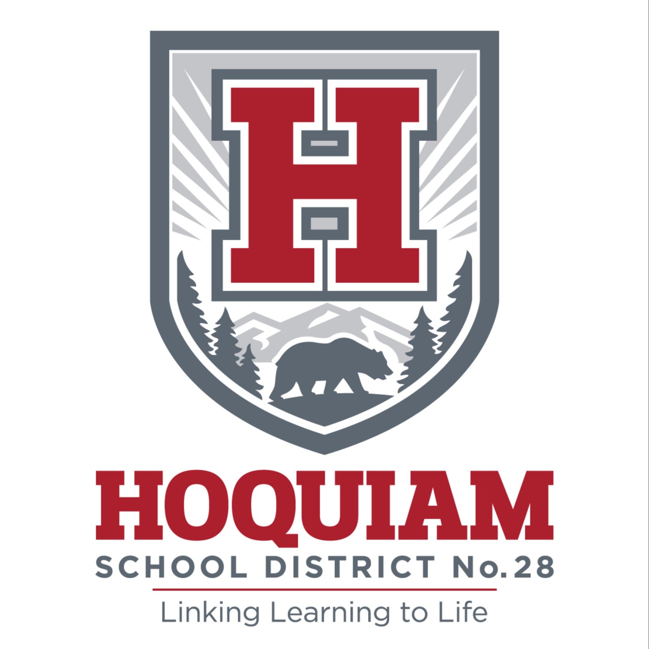 HSD LOGO