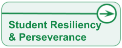 Student Resiliency & Perseverance