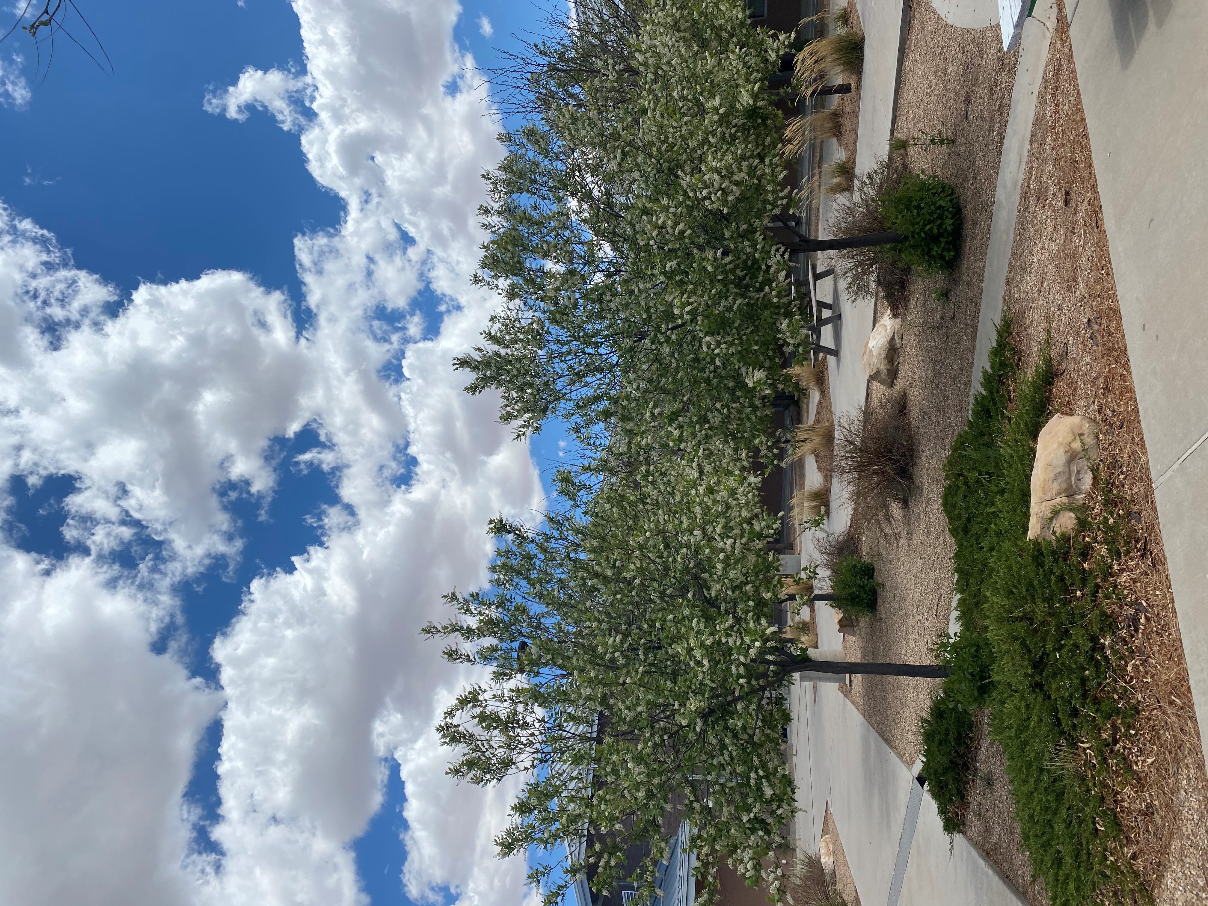 Courtyard.