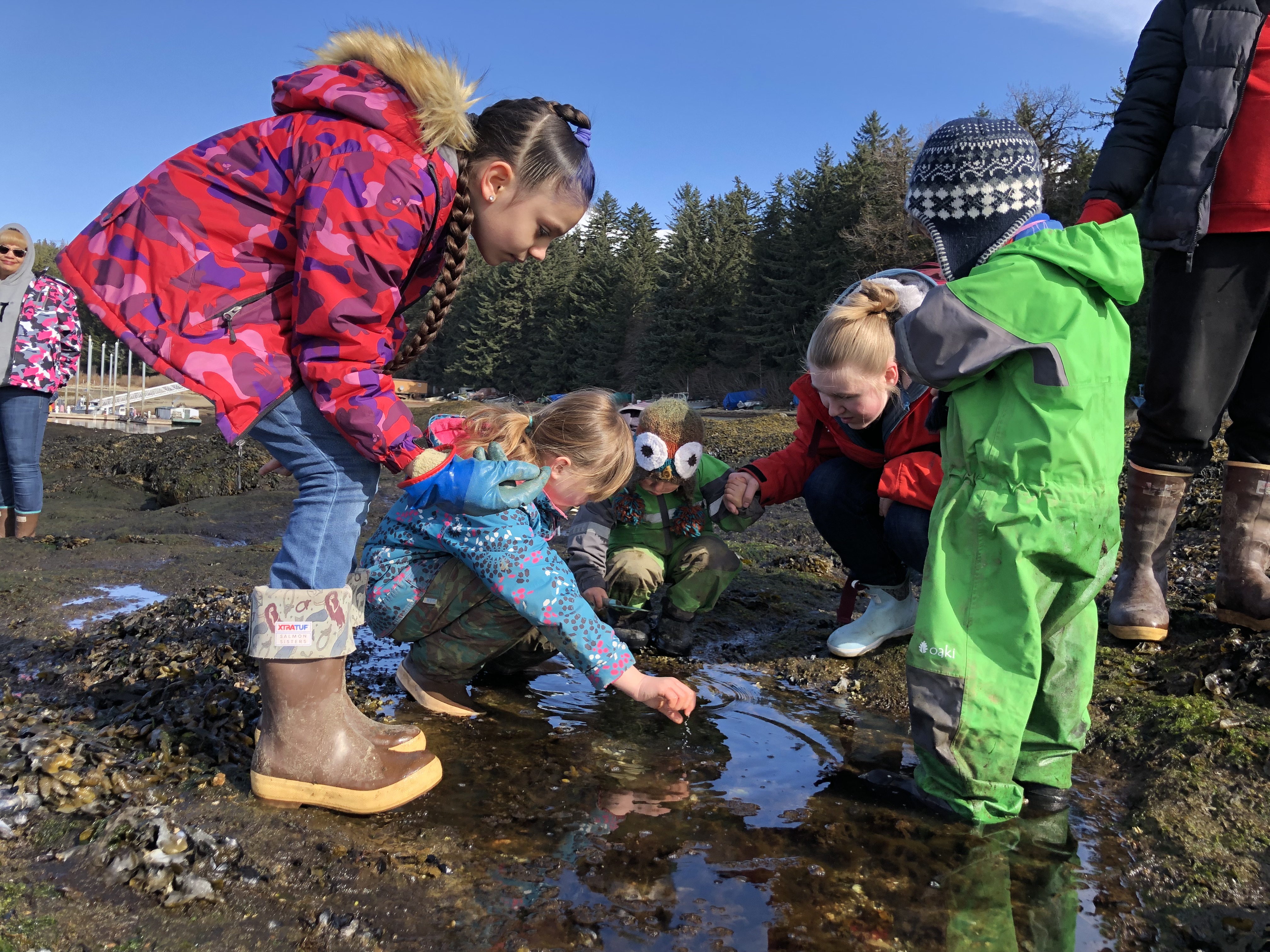 Elementary students gathered around a tide pool on the beach