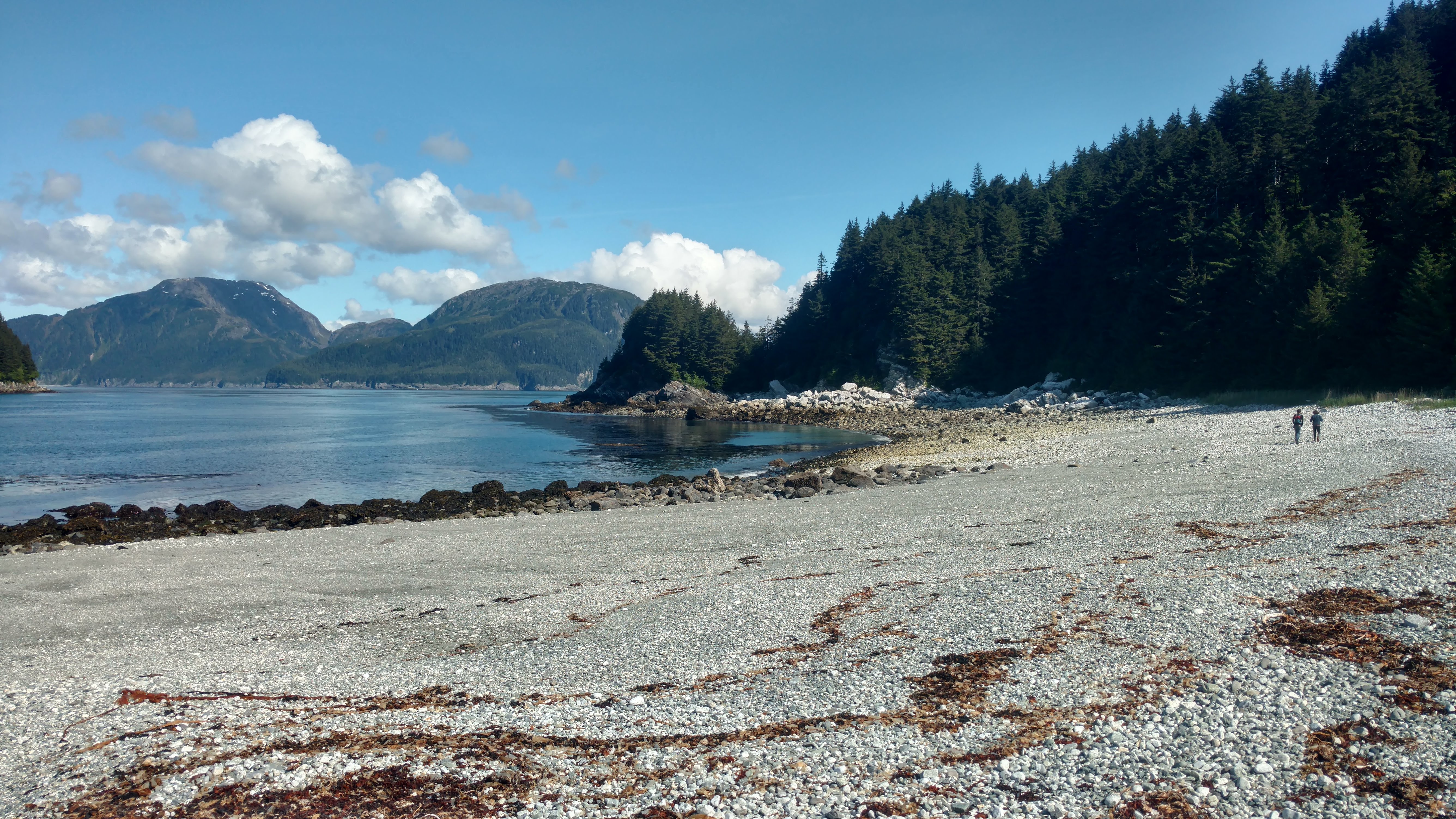 beach with trees in the background and two people walking in Alaska