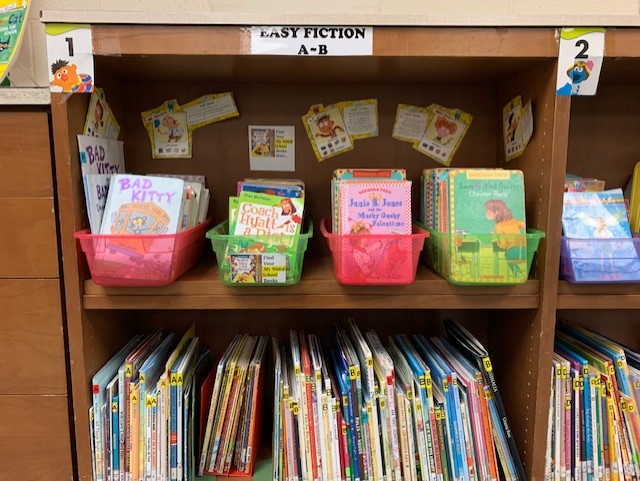 Bookshelves in the library