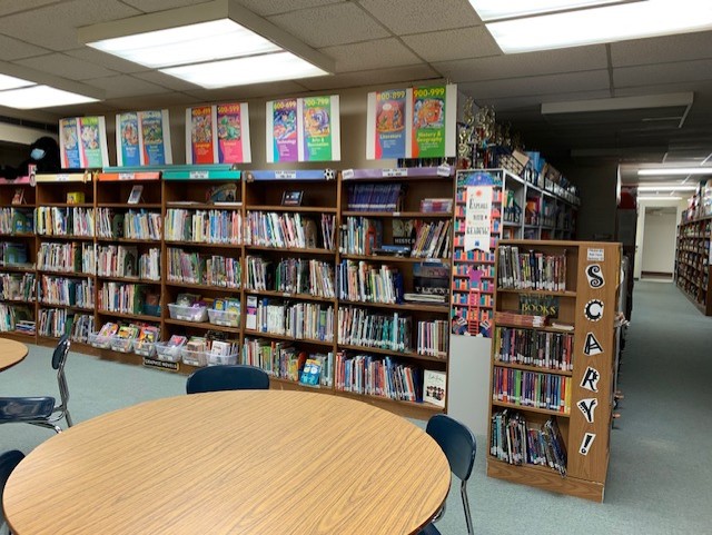 Bookshelves in the library