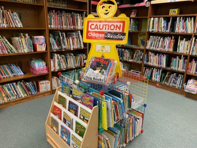 Bookshelves in the library