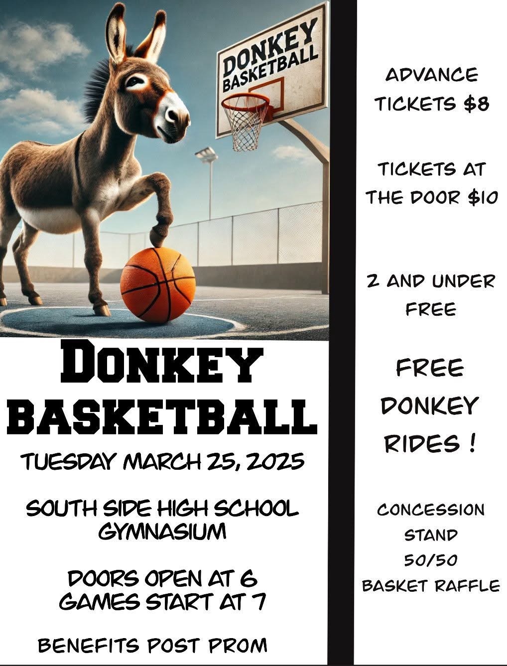 donkey basketball